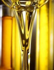 The price of sunflower oil stable, and sunflower gradually going up