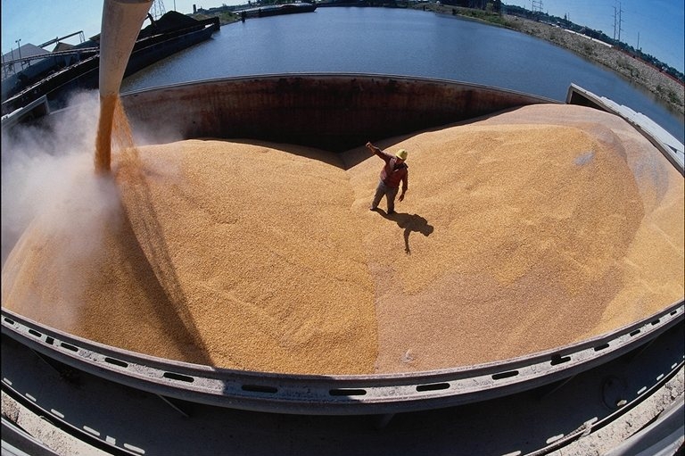 За три місяці нового сезону Україна експортувала 9,8 млн. тон зерна