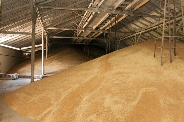Український зерновий експорт наблизився до позначки 25 мільйонів тонн