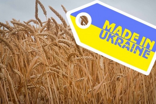 Україна у вересні різко збільшила експорт зернових