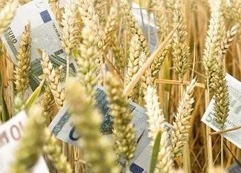 В США ціна пшениці майже незмінна, в Європі підвищилася за рахунок падіння курсу євро