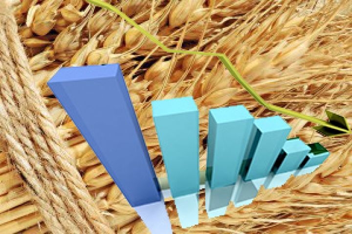 Зниження пшеничних котирувань скорочує експортний попит в Україні