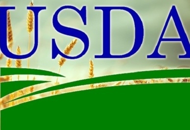 Wheat prices rose after the publication of USDA report