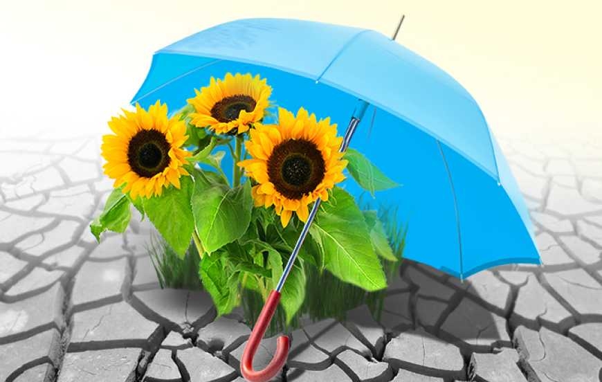 Держава збільшить підтримку сільгоспвиробників через агрострахування