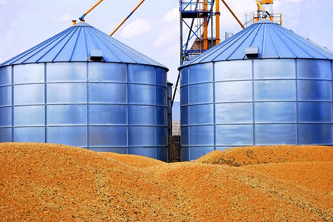 Експорт зерна України 2015