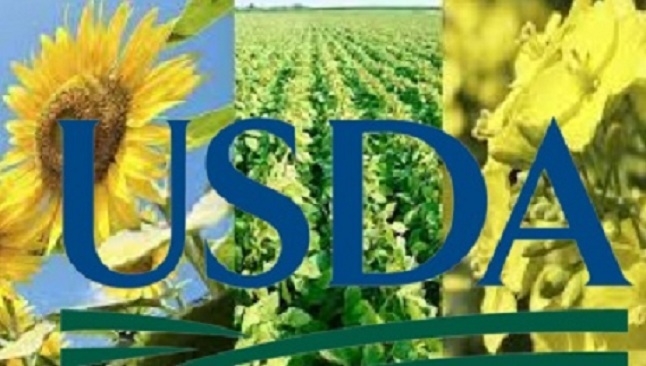USDA снизил прогноз производства сои, но повысил прогноз производства рапса