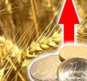 Stock prices for wheat continue to grow