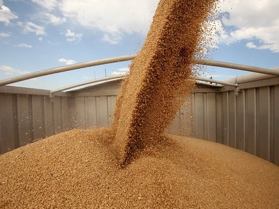 The export of Ukrainian grain in the season of 2015/16 will reach record levels