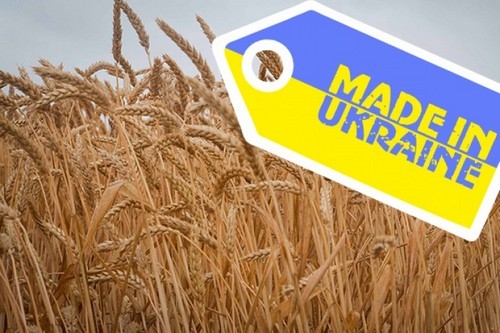Україна у 2024/25 МР може скоротити експорт зерна на 16 млн т – вважають в УЗА
