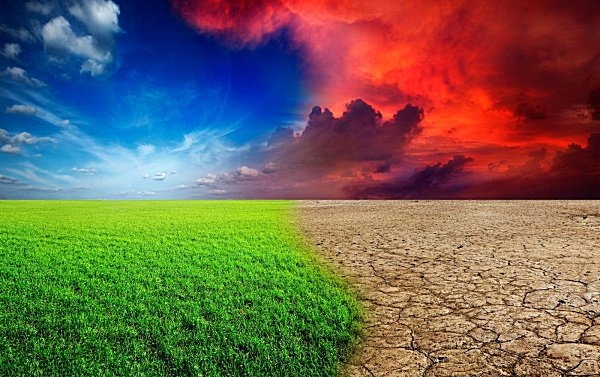 Спека в Індії та Бразилії знижує потенціал майбутнього врожаю