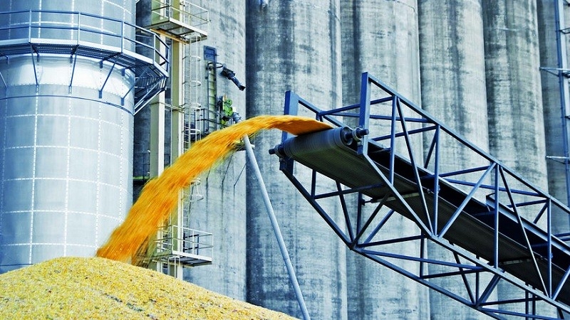 Україна завершує сівбу зернових та олійних культур, врожай яких у 2021 р. перевищить 100 млн т 