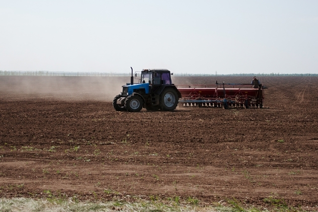 В Україні засіяно майже 6 млн. га озимих зернових