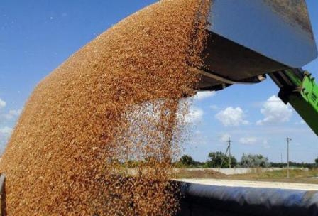 Загальний обсяг виробництва зерна країнами СНД складе 189 млн. тон