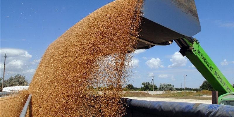 Експорт м’якої пшениці з Євросоюзу в 2014/15 МР зменшиться на 2,5 млн тонн – прогноз Strategie Grains