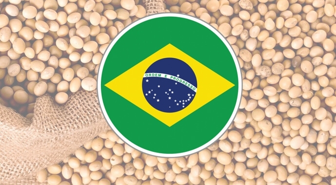 Бразилія починає сезон 2025/26 з високих темпів збирання та підвищення прогнозів урожаю