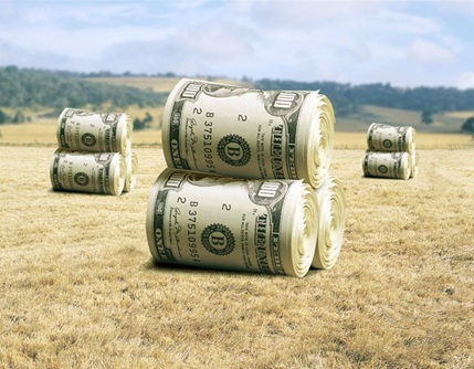 Мораторий на продажу сельхозземли в Украине продлен