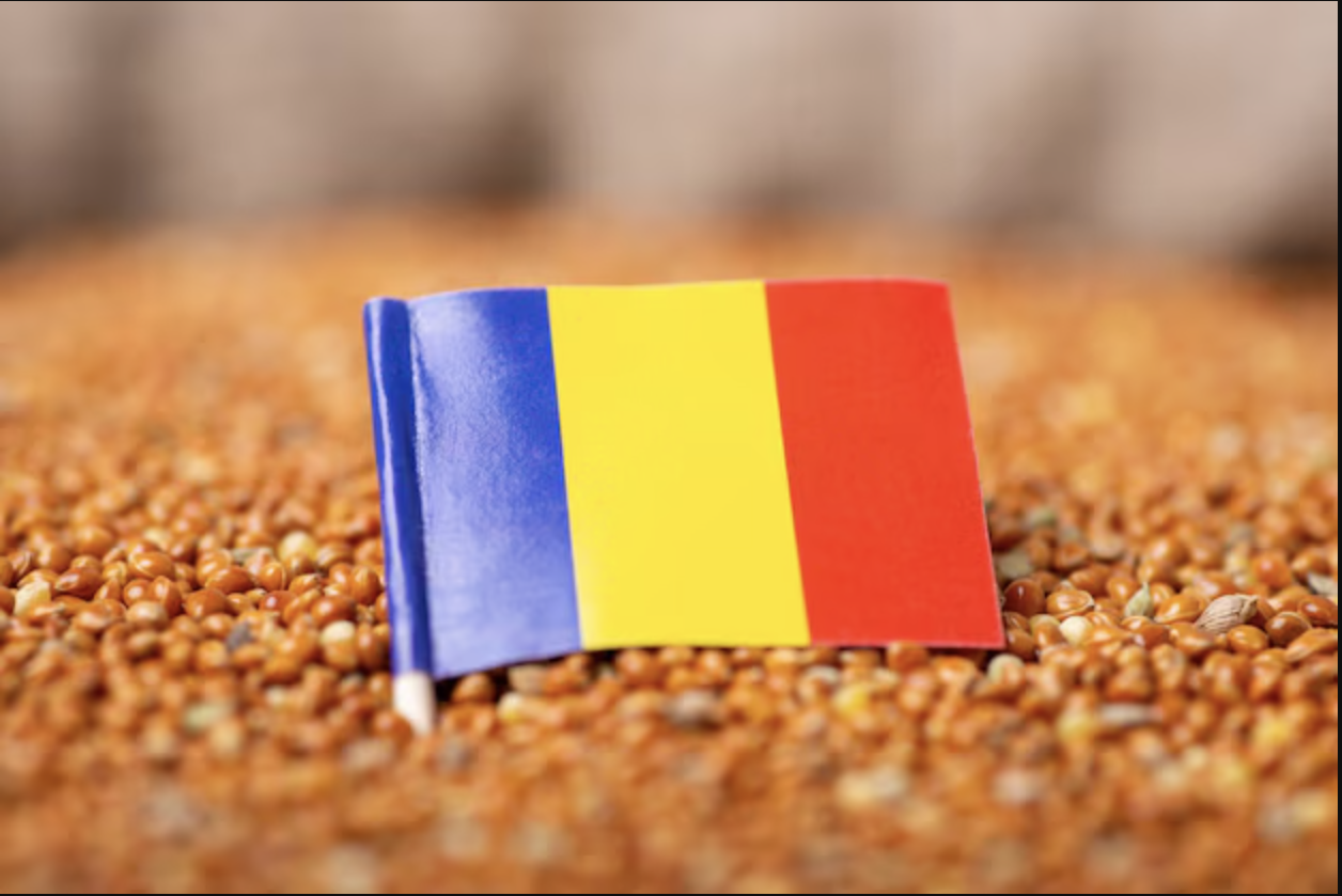 Romania expects record grain harvest in 2024/25 season