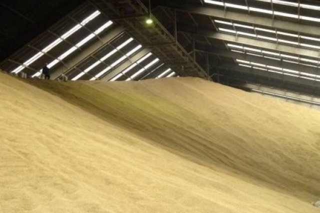 Экспорт зерна Украиной составил 23 миллиона тонн