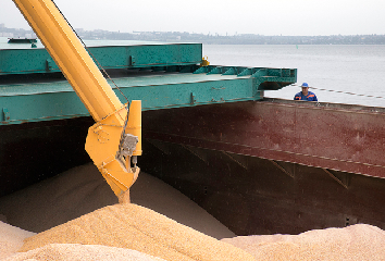Єгипет закупив на тендері 120 тис. тонн дешевої російської пшениці