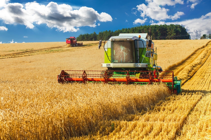 Украинские аграрии обмолотили 21,5% прогнозируемых площадей