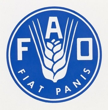 Эксперты FAO увеличили прогноз мирового производства кукурузы, и уменьшили прогноз урожая пшеницы 