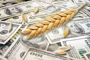 В США та Європі пшениця продовжила падіння