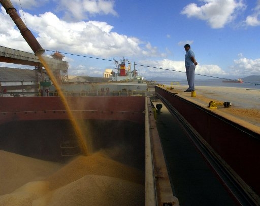 В поточному році з України експортовано більше 7 млн. тон зерна