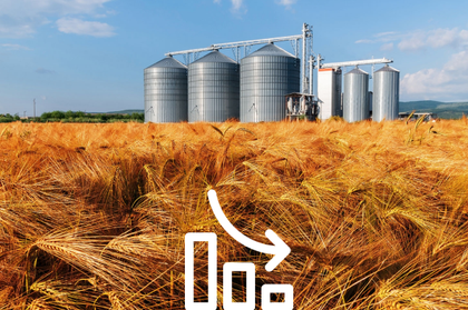 Wheat Prices on the Exchanges Fell Again by 2.5-6% Over the Week, Completely Nullifying the Growth Since Early May