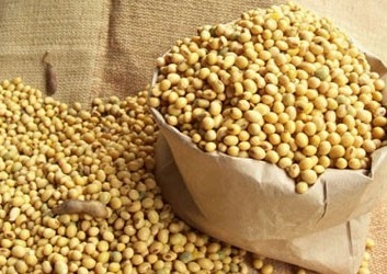 The first time was able to collect over 4 million tons of soybeans
