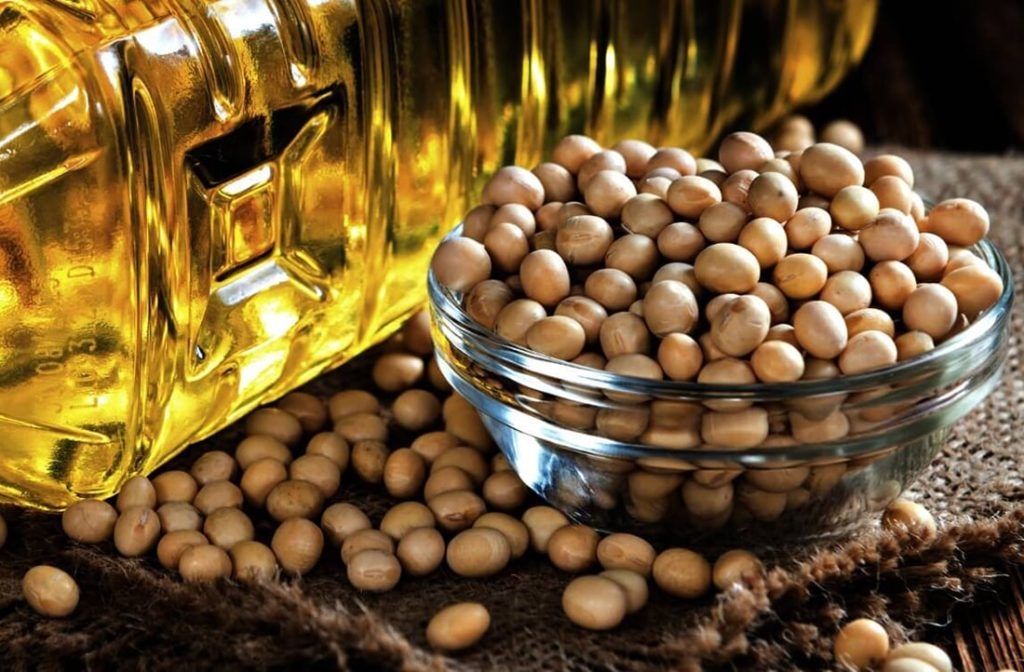 India cancels soybean oil imports from South America