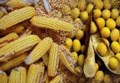 Врожаї сої та кукурудзи в Аргентині та Бразилії можуть стати рекордними