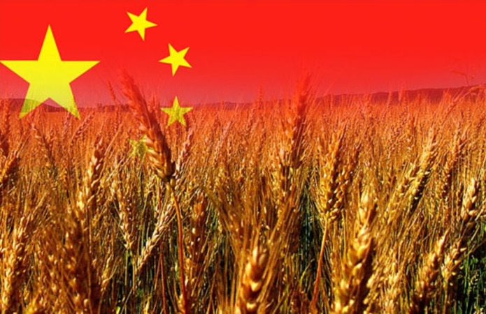 China's grain production in 2025 reached nearly 715 million tons