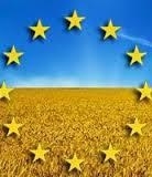 Країни ЄС збільшують експорт та скорочують імпорт зерна