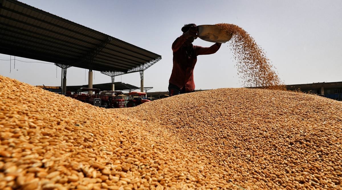 Закупочные цены на пшеницу в Украине под давлением из-за снижения экспортного спроса