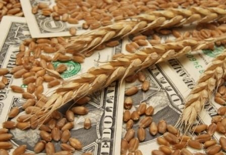Just before Christmas, wheat prices are falling