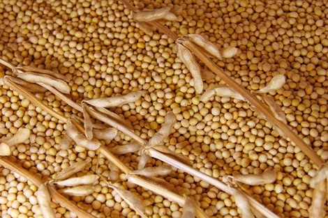 Soybean futures are down because of lower demand from China