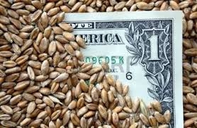 Вторник отличился стабильностью пшеничных котировок в США