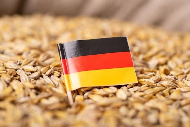 Wheat and rapeseed harvest in Germany will exceed last year's