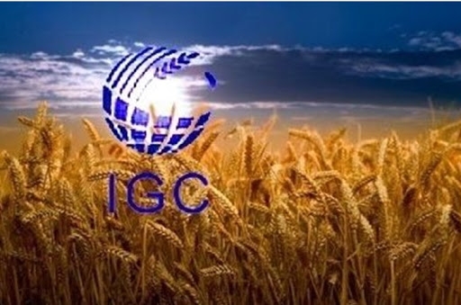 Overview of the main changes in the October IGC balances for grain and oil