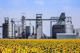 5 months 2020/21 mg of Ukraine has processed 7 million tonnes of oilseeds
