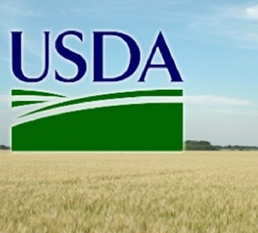 USDA прогнозирует в новом сезоне рекордные производство и запасы пшеницы
