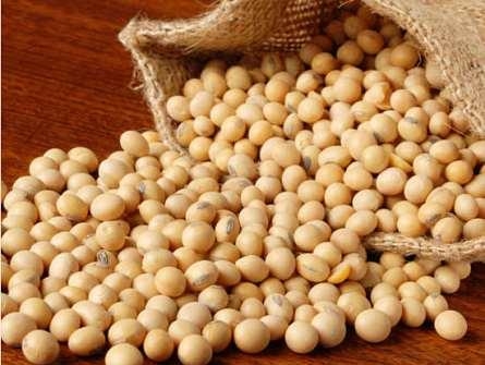 Soy is more expensive contrary to  the "bearish" forecast USDA