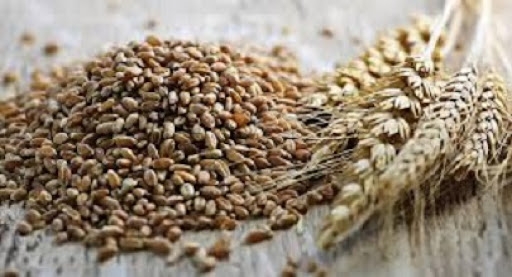 Йорданія придбала 60 тис т пшениці дешевше, ніж три тижні тому