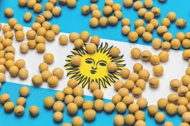 Аргентина знизила мита на експорт зерна, що буде посилювати конкуренцію на ринках 