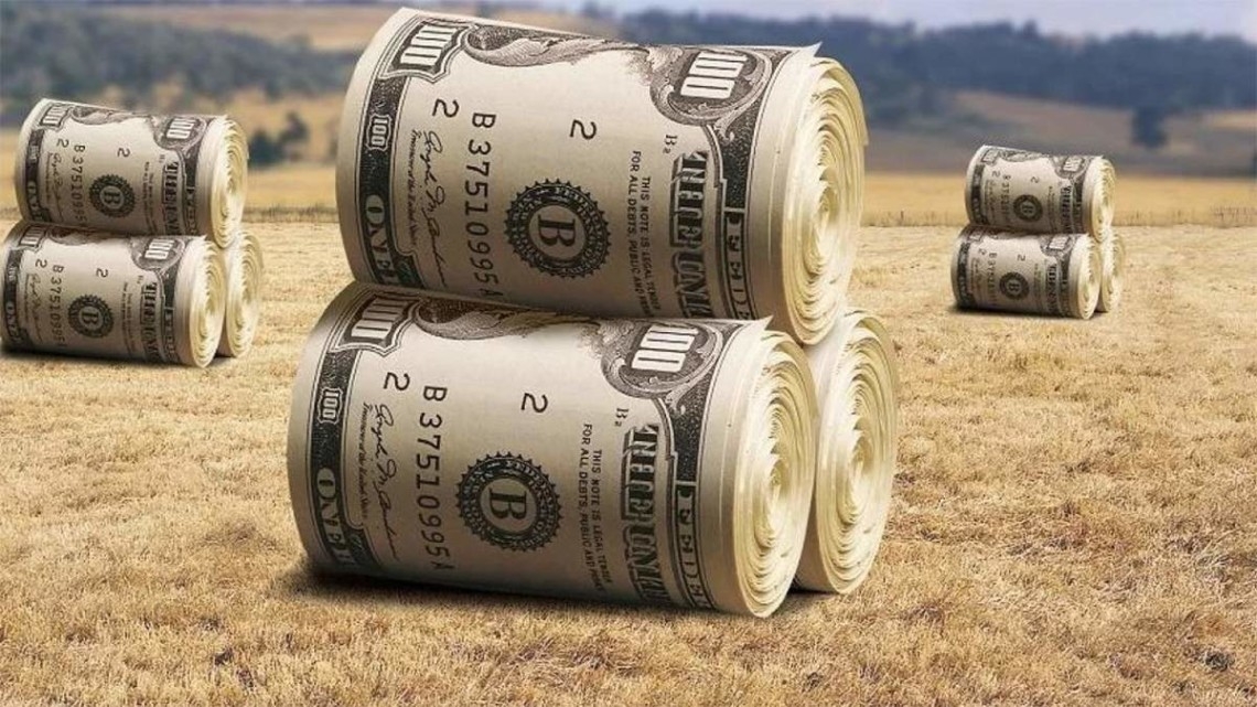 У 2024 р прибуток українського аграрного сектору перевищив довоєнні показники