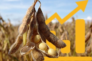 China will support world prices for soybeans