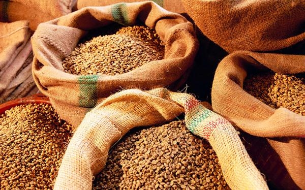 Україна експортувала майже 28 млн тонн зерна