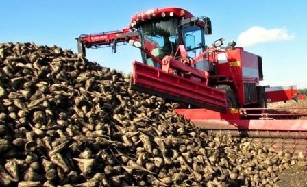 Ukrainian agrarians sowed winter crops 87% of the planned areas