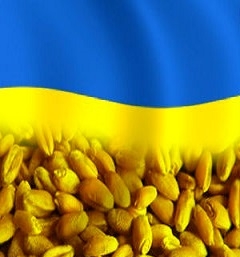 Ukraine in 2018/19 MG exported a record amount of grain