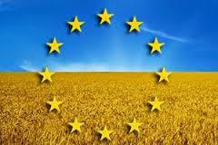 Strategie Grains зменшило прогноз врожаю зернових для ЄС